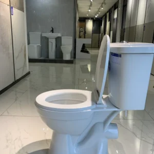 frenshia modern toilet seat